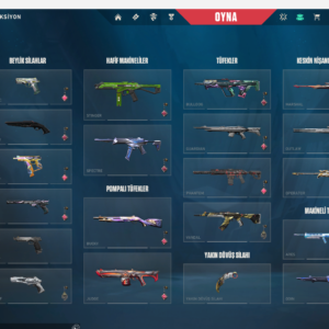 RARE 2013–2014 Valorant + LoL Account | Radiant EP5 | Champions 2021 | Arcane Vandal | High Level